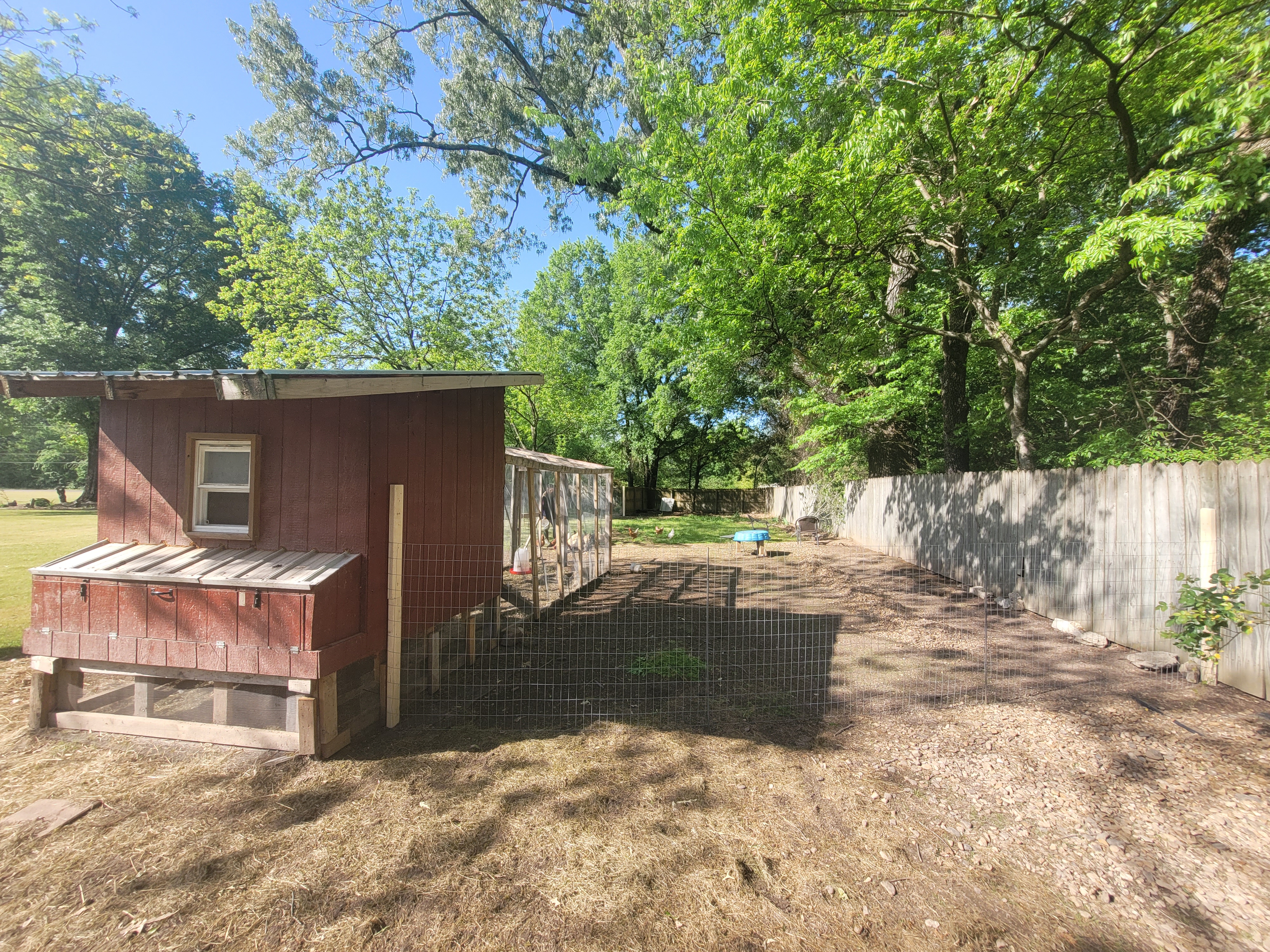 Chicken coop and pasture