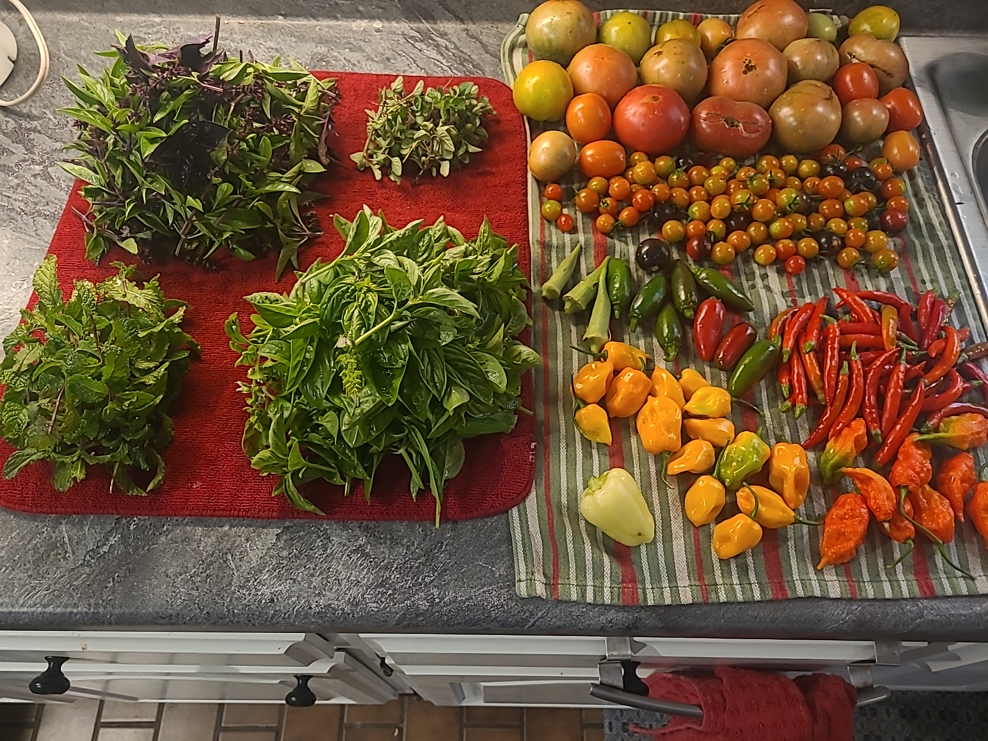 Fresh harvest of basil, mint, and peppers